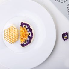 gg047_griffa_04